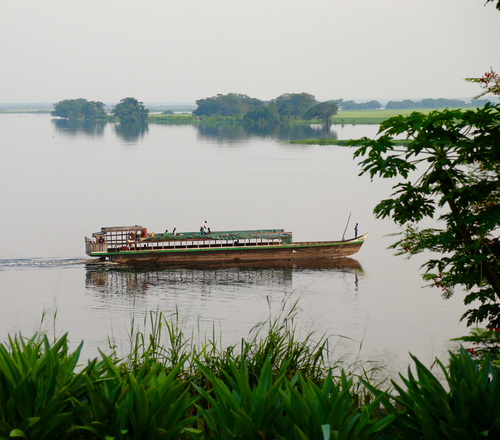 Accelerating Green Finance in the Congo Basin