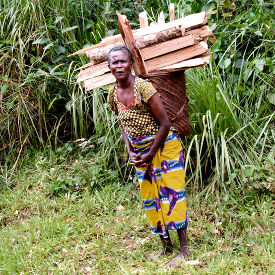 Our Role in the Environmental Commodity Market