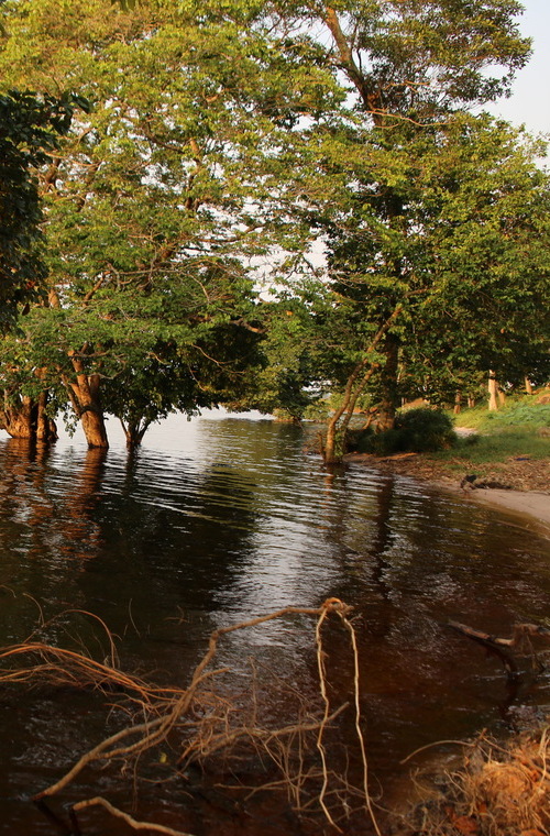 Our Commitment to the Basin