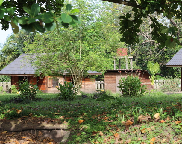 Financing & Market Access