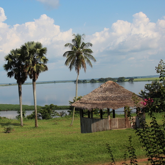 Our Role in the Environmental Commodity Market