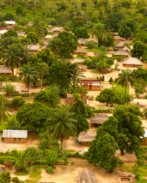 The World’s Green Lung