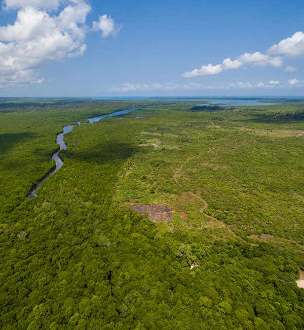 Environmental Commodity Market