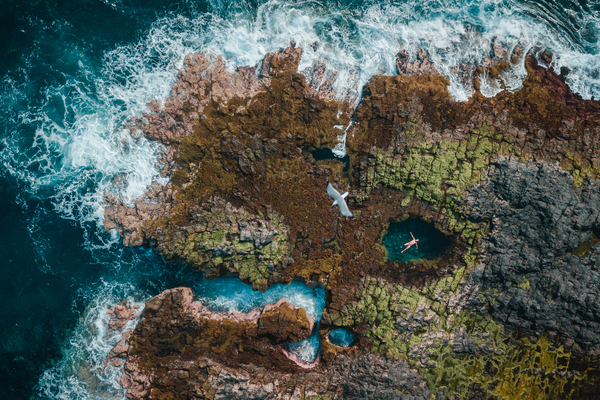 A Platform for Dialogue Between States and Markets